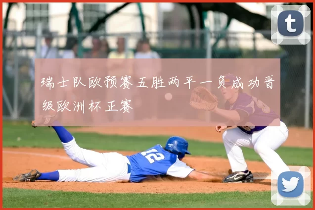 瑞士队欧预赛五胜两平一负成功晋级欧洲杯正赛