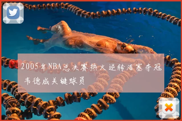 2005年NBA总决赛热火逆转活塞夺冠 韦德成关键球员