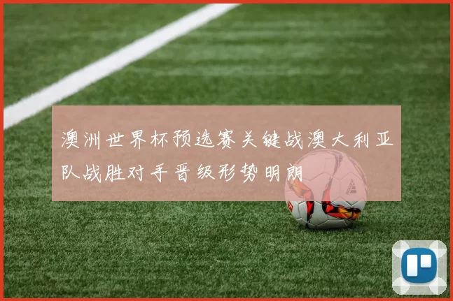 澳洲世界杯预选赛关键战澳大利亚队战胜对手晋级形势明朗