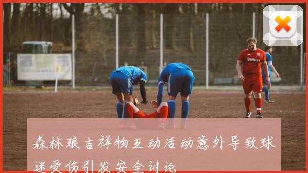 森林狼吉祥物互动活动意外导致球迷受伤引发安全讨论