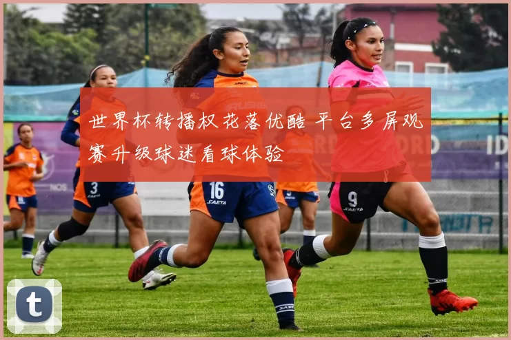 世界杯转播权花落优酷 平台多屏观赛升级球迷看球体验
