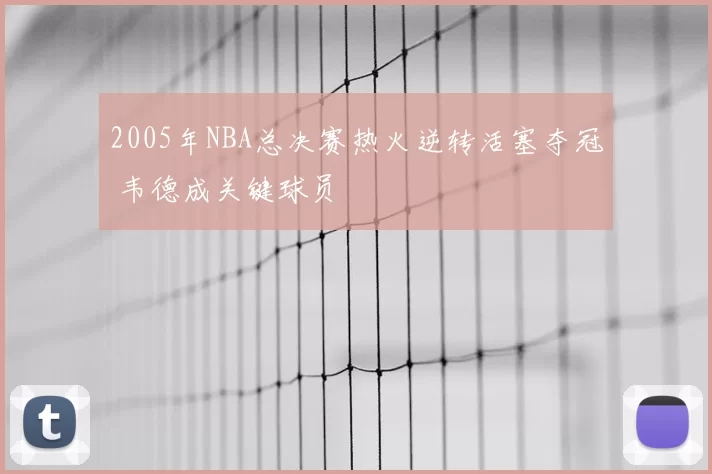2005年NBA总决赛热火逆转活塞夺冠 韦德成关键球员