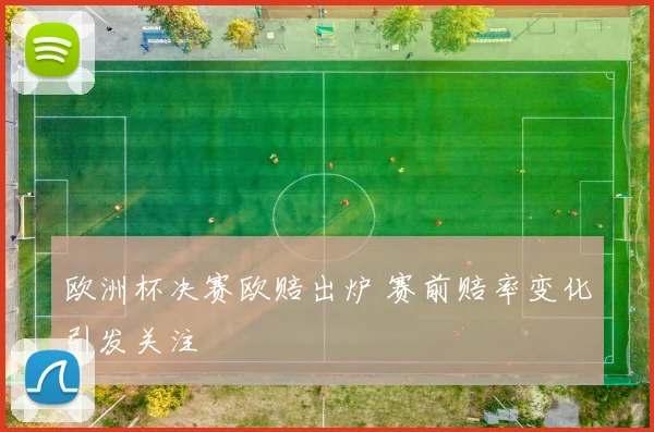 欧洲杯决赛欧赔出炉 赛前赔率变化引发关注