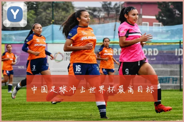 中国足球冲击世界杯最高目标