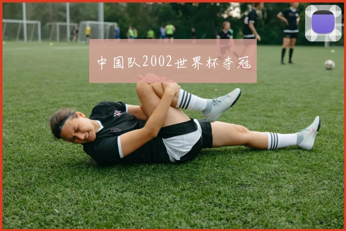 中国队2002世界杯夺冠