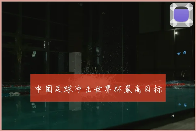 中国足球冲击世界杯最高目标