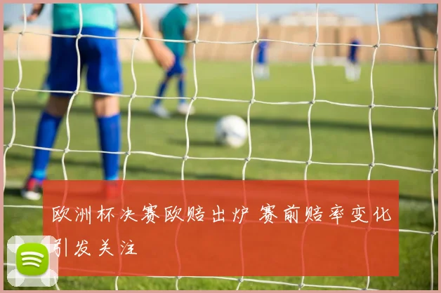 欧洲杯决赛欧赔出炉 赛前赔率变化引发关注