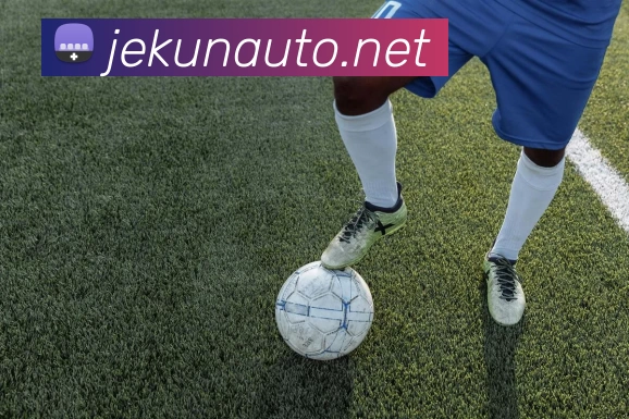 开云app官方版网站登录入口 - 开云(中国)发展历程